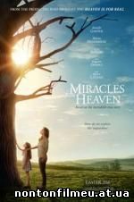 Miracles from Heaven (2016)