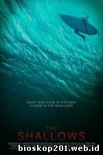 The Shallows (2016)