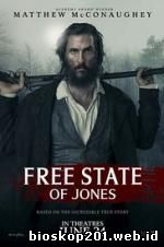 Free State of Jones (2016)